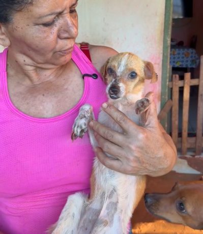 Dona Lourdes segurando com carinho um filhote